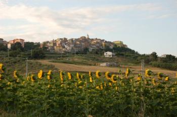 panoramica-montenero-girasoli.jpg