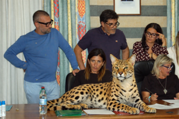 giunta-gattopardo-1.png